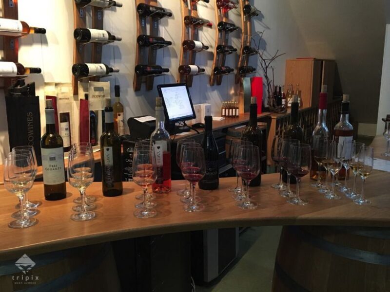 Pico Wine Tour: Get to know Pico's wines - A Closer Look at the Pico Wine Tour