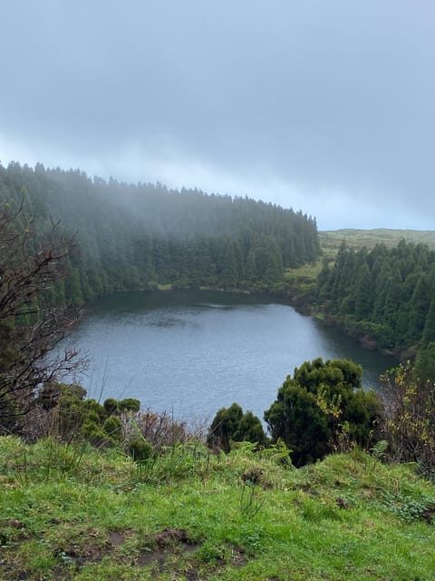 Pico Wine Tours - The Whale Museum and Local Culture