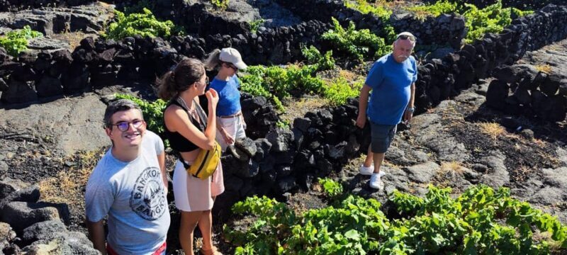 Pico Wine Tours - Lunch and Practicalities