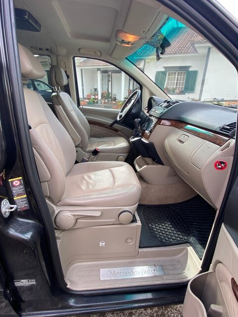 Pico Wine Tours - Who Should Consider This Tour?