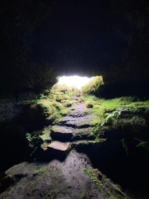 Pico Wine Tours - FAQs