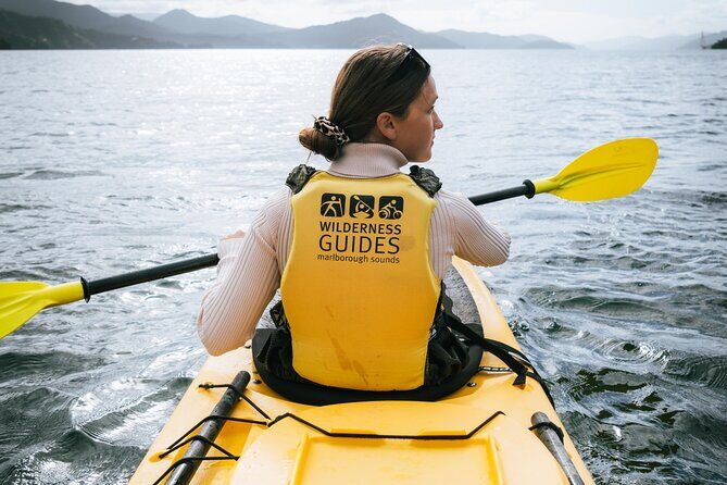 Picton Morning Guided Kayak with Afternoon Boat Cruise Tour - Key Points