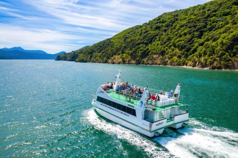 Picton Shore Excursion: Queen Charlotte Sounds Cruise - The Experience: A Closer Look