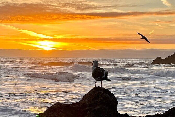 Picture your best SF tour ever! (Epic Bay Area photo adventures) - What Can You Expect on This Adventure?