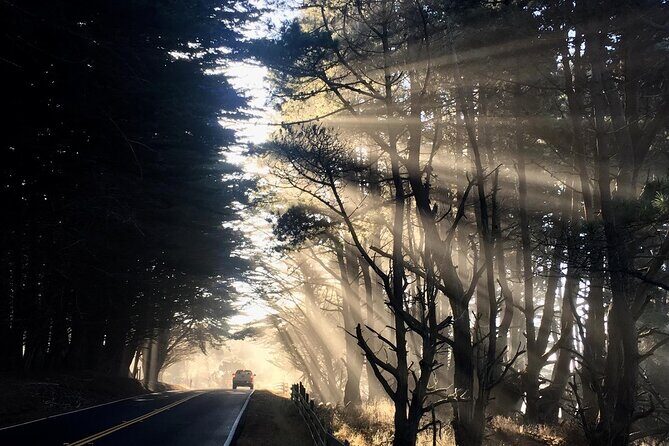 Picture your best SF tour ever! (Epic Bay Area photo adventures) - Final Thoughts