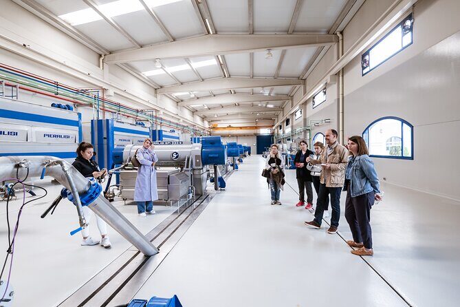 Picualia, visit the oil mill & EVOO tasting - The Experience in Detail