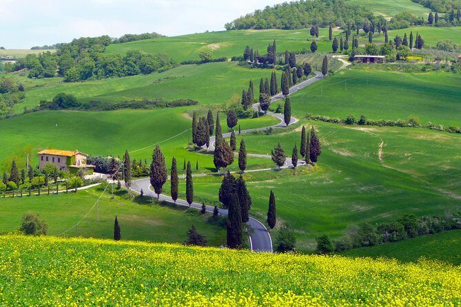 Pienza, Val d'Orcia, Montalcino wine and Pecorino cheese PRIVATE TOUR from SIENA - An In-Depth Look at the Tour Experience