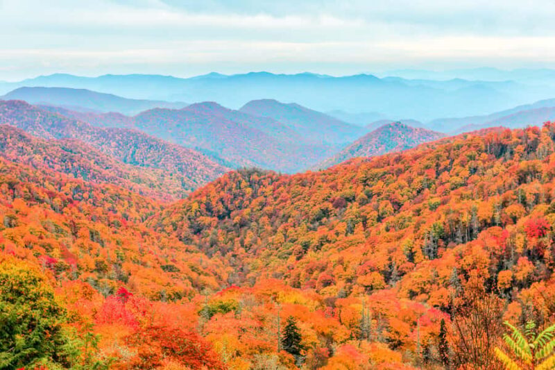 Pigeon Forge: Cade's Cove Culture and History Driving Tour - Key Points