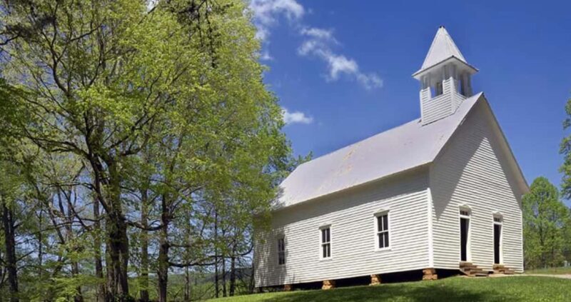 Pigeon Forge: Cades Cove Tour in a Pink Panorama Van - Key Points