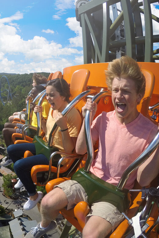 Pigeon Forge: Dollywood Theme Park Entry Ticket - The Pros and Cons