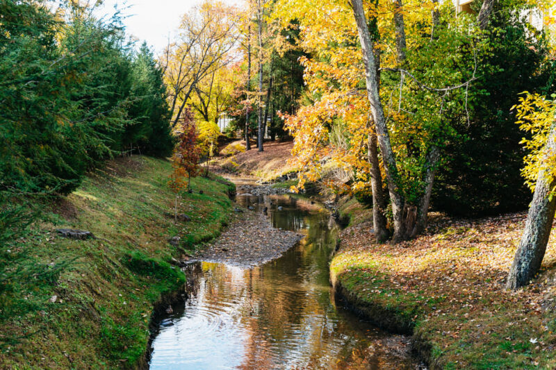 Pigeon Forge: Dollywood Theme Park Entry Ticket - Final Thoughts