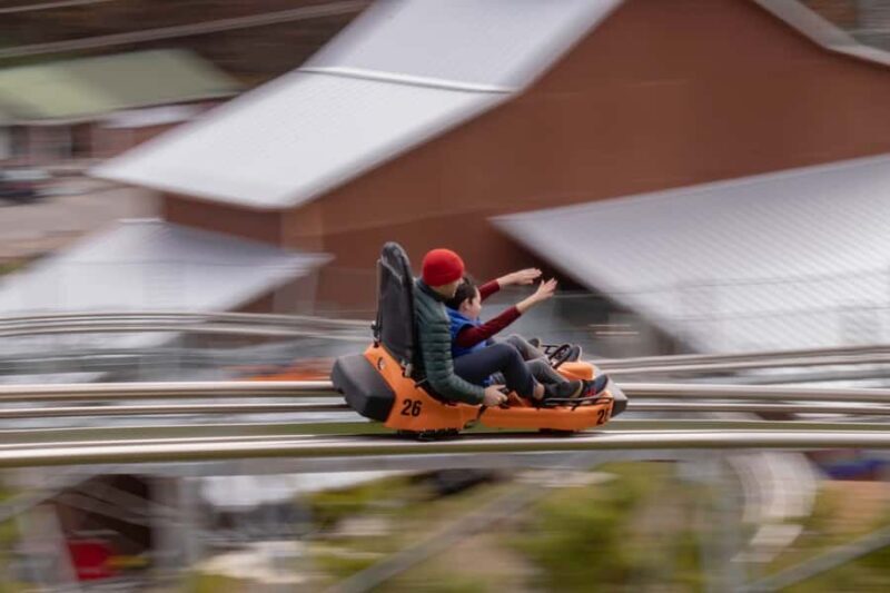 Pigeon Forge: Rocky Top Mountain Coaster Ride - A Closer Look at the Rocky Top Mountain Coaster