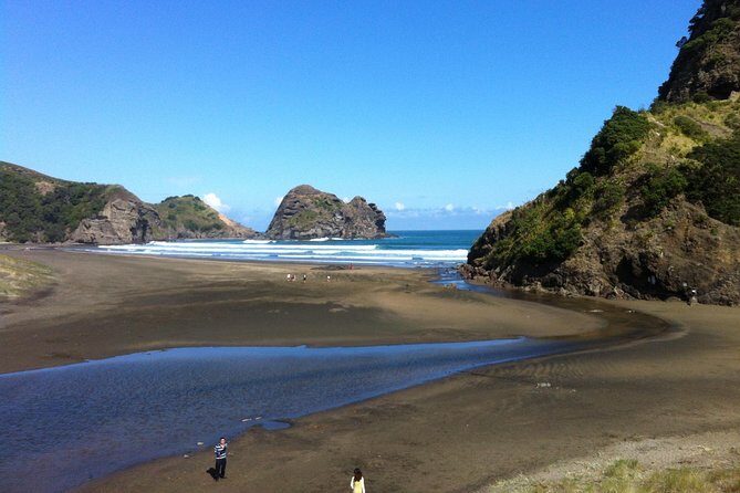 Piha Waitakere Rainforest Wine Tour from Auckland - The Guide and Tour Atmosphere