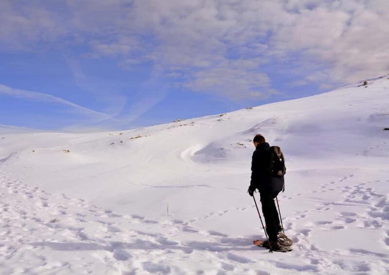 Pila: Snowshoe Hike with Instructor - Why This Tour Can Be a Great Fit