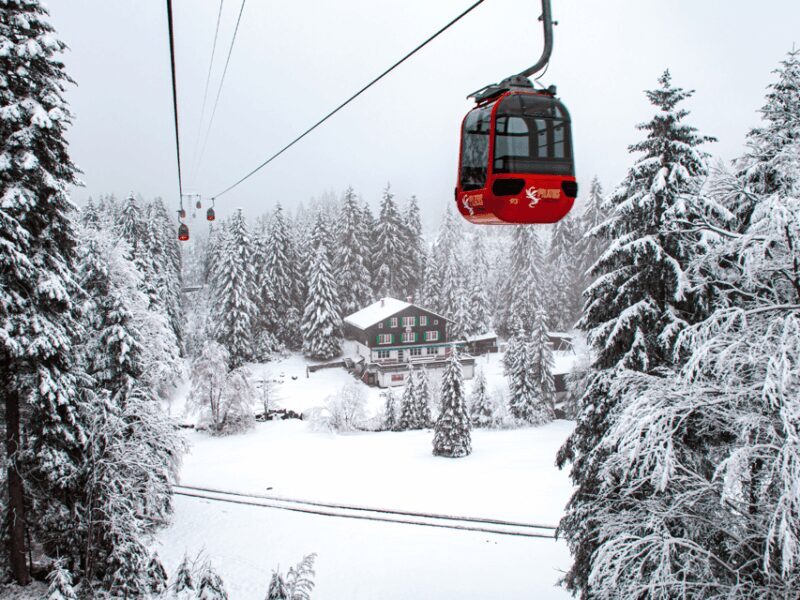 Pilatus & Lucerne with Cruise Private Day Trip - Key Points