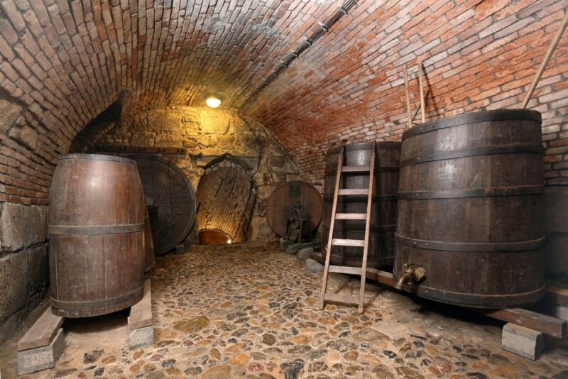 Pilsen: Brewery Museum Entrance with a Glass of Beer - A Deep Dive Into the Brewery Museum Experience