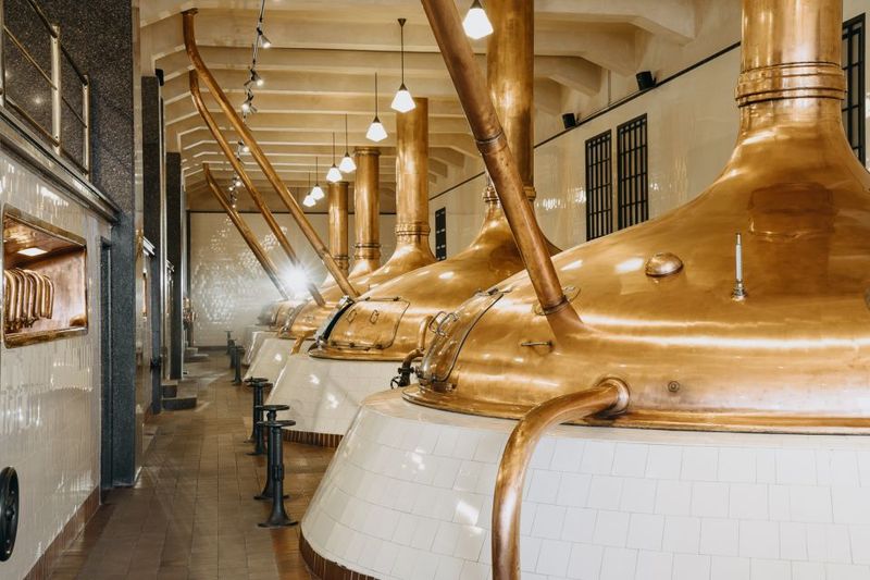 Pilsen: Pilsner Urquell Brewery Tour with Beer Tasting - What to Wear: Cellar Temperature and Comfort Tips