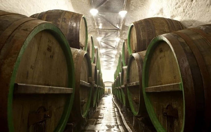 Pilsner Brewery & Nizbor Glass Factory Combination Tour - An Overview of the Tour