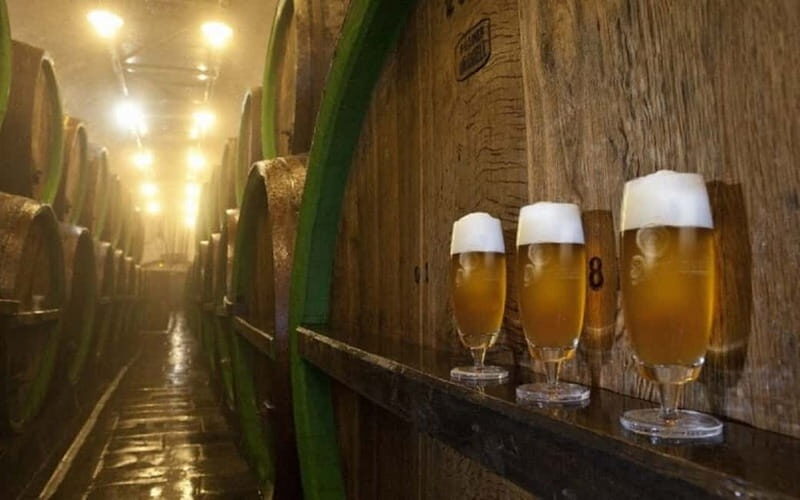 Pilsner Brewery & Nizbor Glass Factory Combination Tour - The Downside to Keep in Mind
