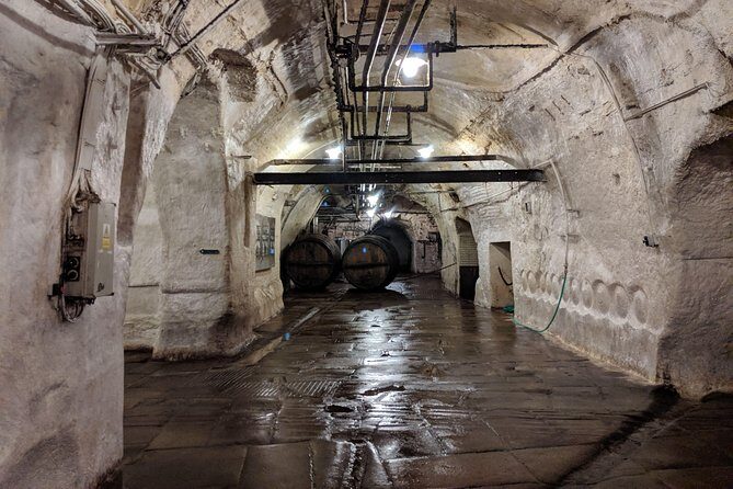 Pilsner Urquel brewery with tasting + sightseeing (from Prague) - Final Thoughts