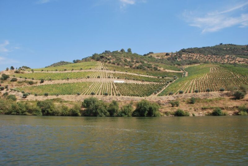 Pinhão: 2-Hour Rabelo Boat Tour with Audio Guide - The Experience: What You Can Expect