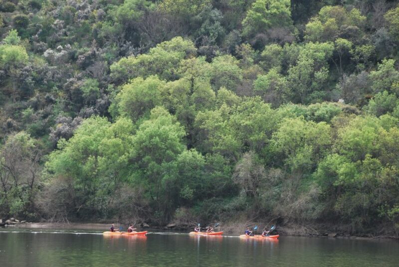 Pinhão: 4 Hour Douro Valley Kayak Rental - An Introduction to the Pinhão Kayak Experience