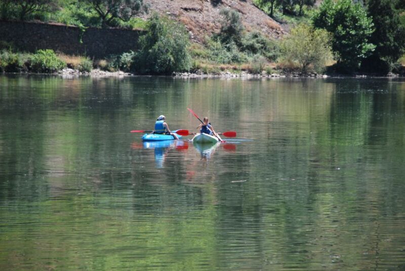 Pinhão: 4 Hour Douro Valley Kayak Rental - The Value of the Experience