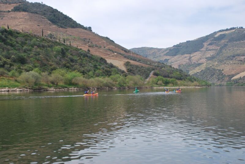 Pinhão: 4 Hour Douro Valley Kayak Rental - Who Should Consider This Experience?