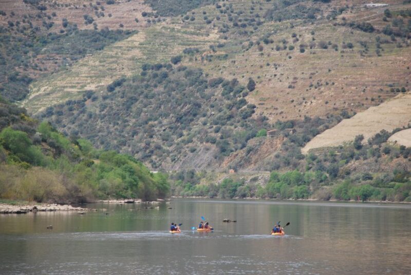 Pinhão: 4 Hour Douro Valley Kayak Rental - Detailed Breakdown of the Experience