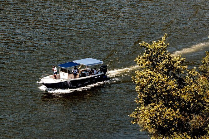 Pinhão: 4 hours Douro River Cruise with Lunch Included - The Lunch: Authentic Taste of Douro Cuisine