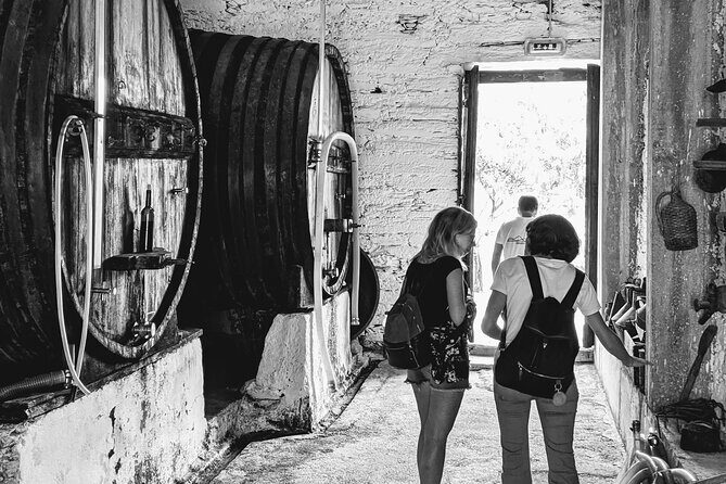 Pinhão Boat, lunch&wine tour - FAQs