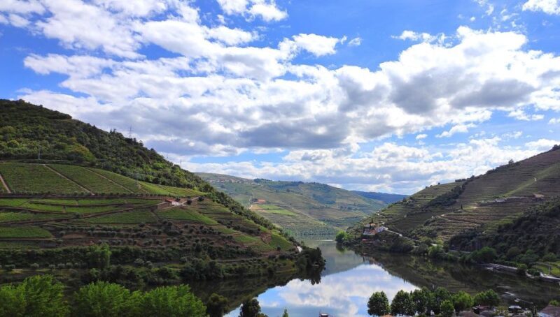 Pinhão: Douro River 50-min Boat Trip with Port Wine - Final Thoughts