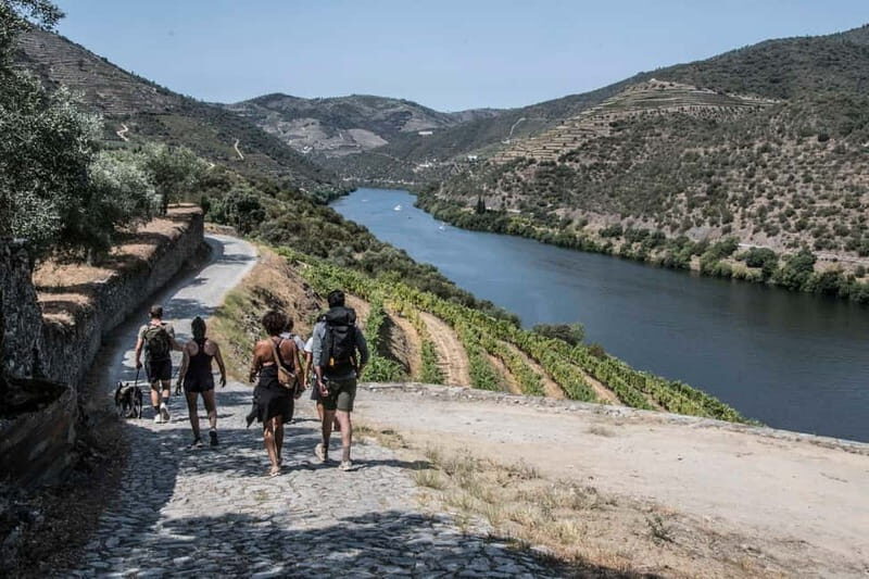 Pinhão: Douro Valley Guided Hike - Discovering the Douro: An Authentic Scenic Trek