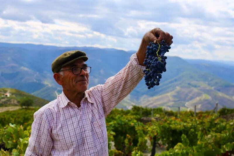 Pinhão: Douro Valley Guided Hike - Is This Tour Right for You?