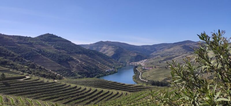 Pinhão: Douro Valley with Wine Tasting, Boat Trip and Lunch - Discovering the Douro Valley: A Guide to the Pinhão Tour