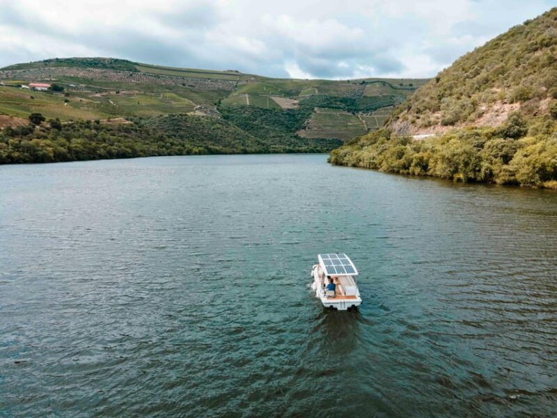 Pinhão: Private Electric Boat Tour 1h- Wine Tasting Included - A Detailed Look at the Experience