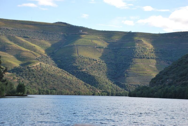 Pinhão: Private Rabelo Boat Tour along the River Douro - The Sum Up