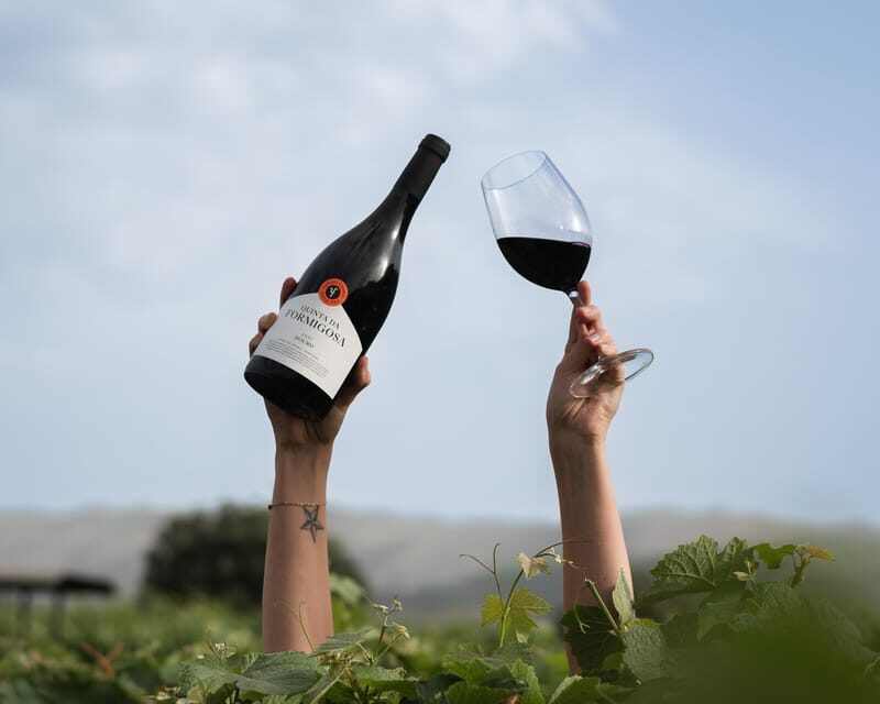 Pinhão: Quinta da Formigosa Vineyard Tour and Wine Tasting - Key Points