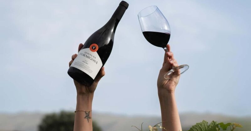 Pinhão: Quinta da Formigosa Vineyard Tour and Wine Tasting - Final Thoughts