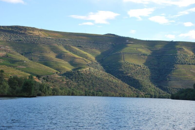 Pinhão: Rabelo Boat 1-Hour Tour - Practical Details for Your Trip