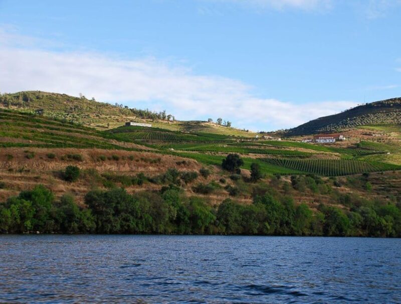 Pinhão: Rabelo Boat 1-Hour Tour - The Sum Up