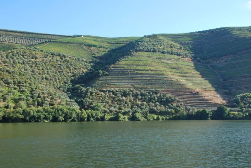 Pinhão: Rabelo Boat 1-Hour Tour - FAQ