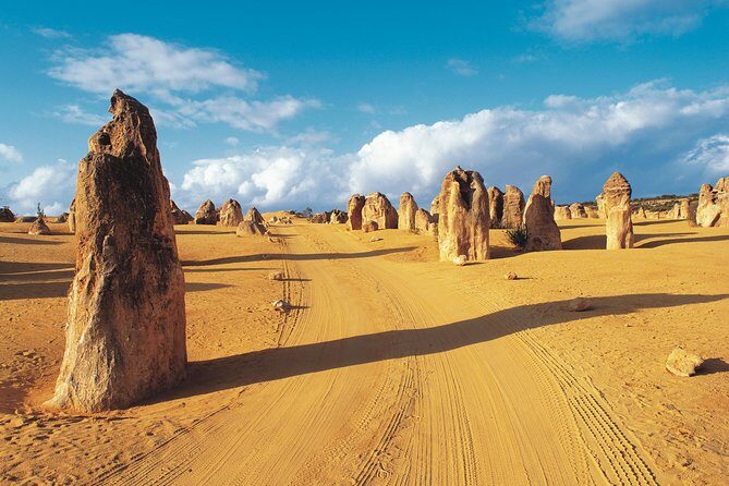 Pinnacles Desert, Koalas and Sandboarding 4WD Day Tour from Perth - Key Points