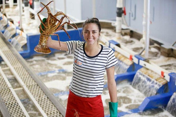 Pinnacles Desert, Koalas and Sandboarding 4WD Day Tour from Perth - What This Tour Offers: A Breakdown