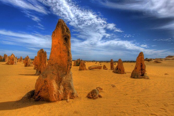 Pinnacles Desert & New Norcia Day Tour from Perth - The Highlights & Considerations