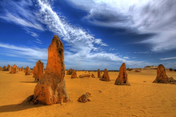 Pinnacles Desert, Yanchep and Swan Valley with Lunch - An Overview of the Tour Experience