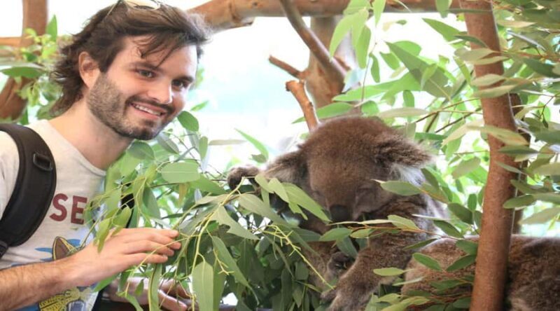 Pinnacles, Koalas & Sandboarding Tour Day Trip from Perth - How the Experience Comes Together