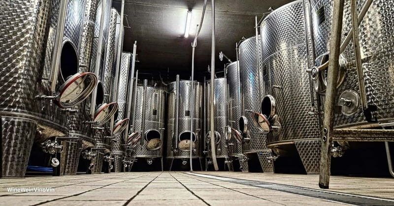 Pinot Noir & Pinot Wine Tour to Baden-Württemberg - The Practicalities