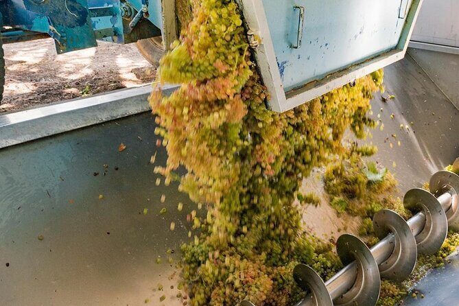 Pinot Noir & Pinot Wine Tour to Baden-Württemberg - An In-Depth Look at the Baden-Württemberg Pinot & Wine Tour