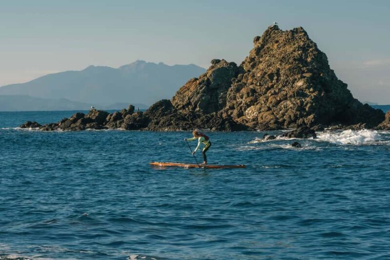 Piombino (Tuscany): Stand Up Paddle Experience - Getting to Know the Piombino Stand-Up Paddleboard Experience